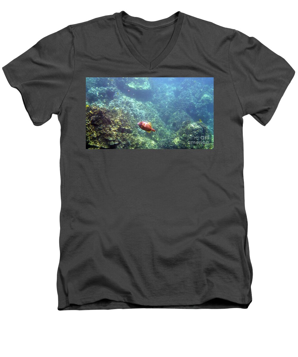 Underwater Photography Men's V-Neck T-Shirt featuring the photograph Cute Fellow by Karen Nicholson