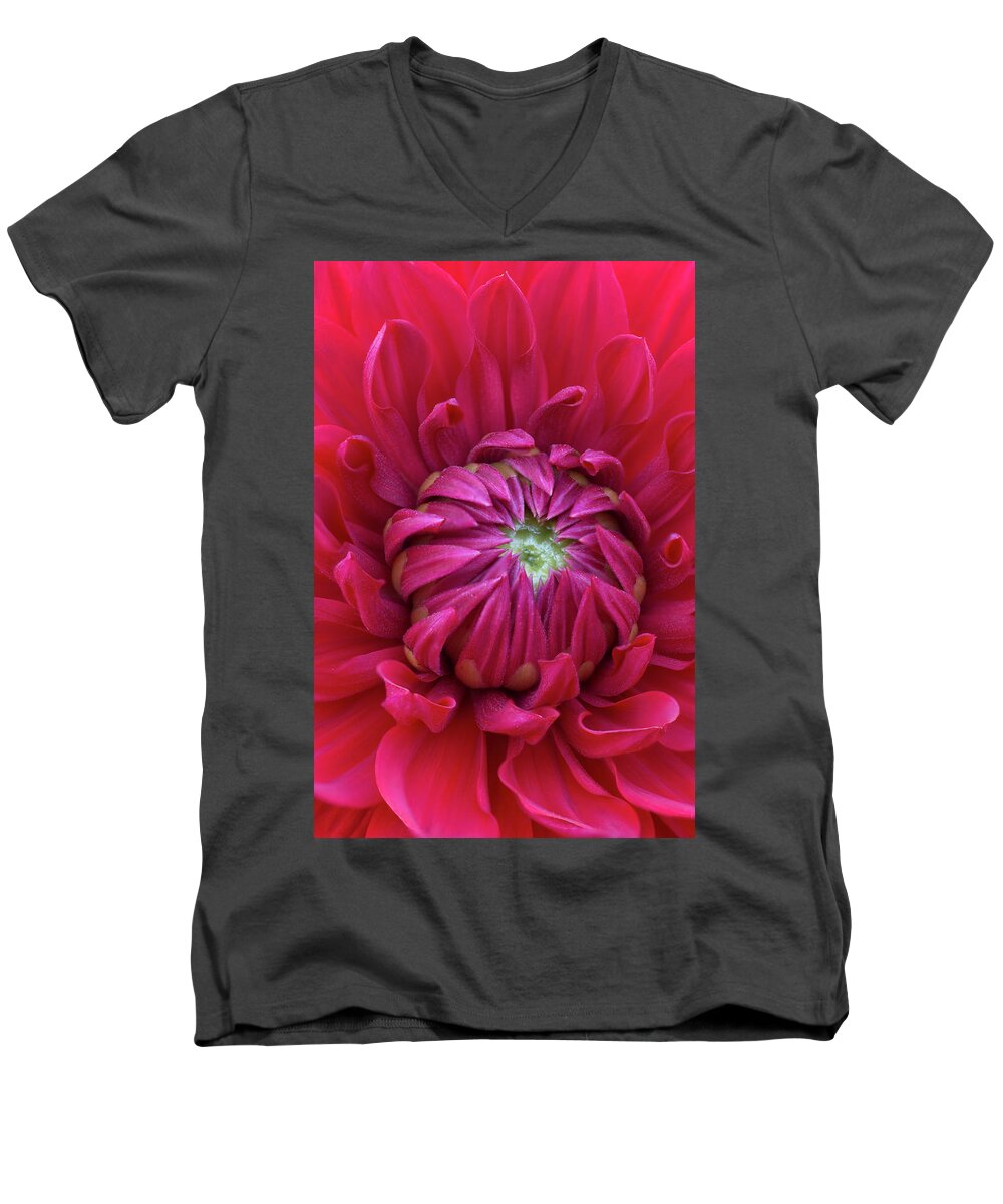 Flowers Men's V-Neck T-Shirt featuring the photograph Dahlia Heart by Steven Clark