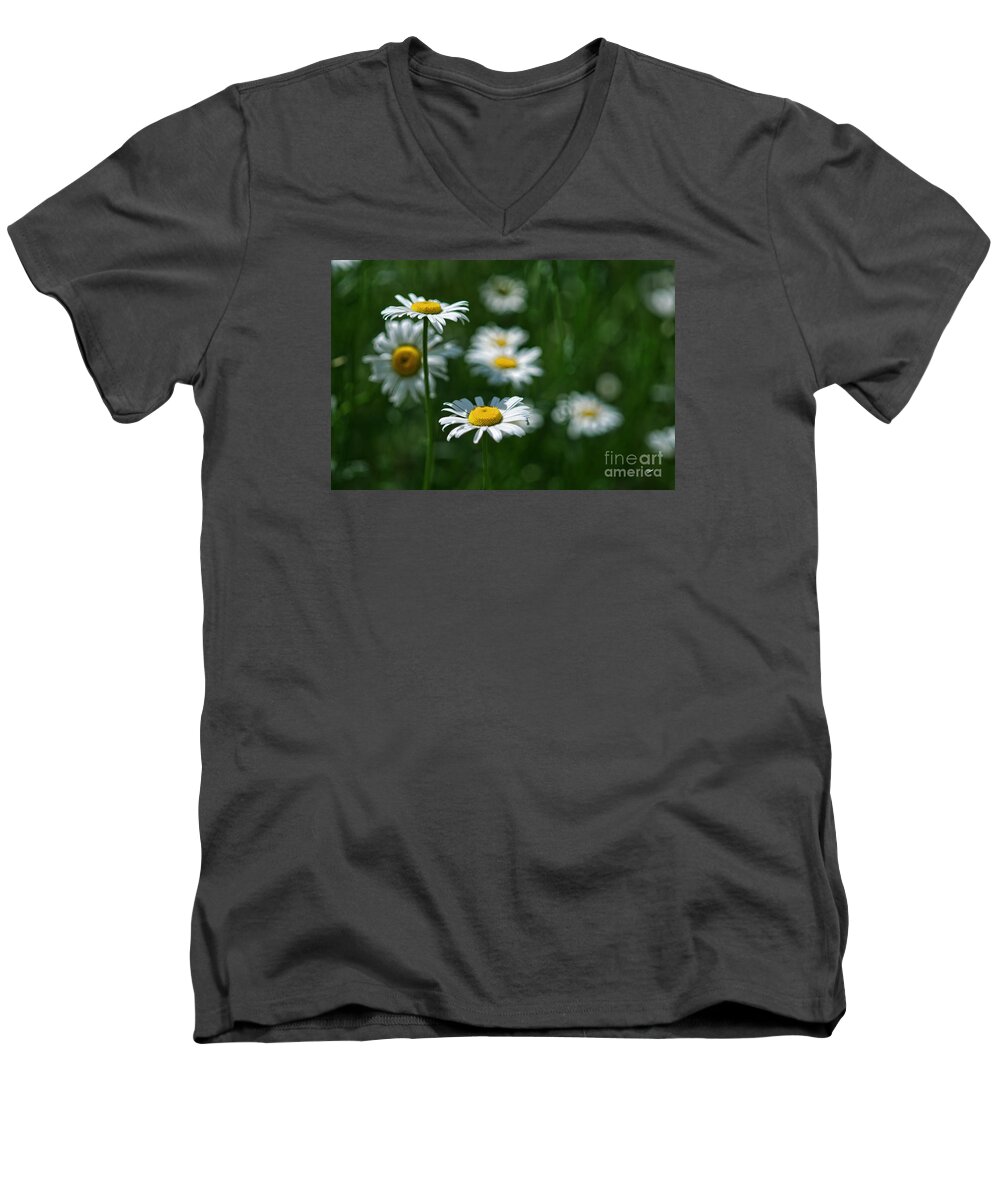 Daisy Men's V-Neck T-Shirt featuring the photograph Daisy's by Alana Ranney