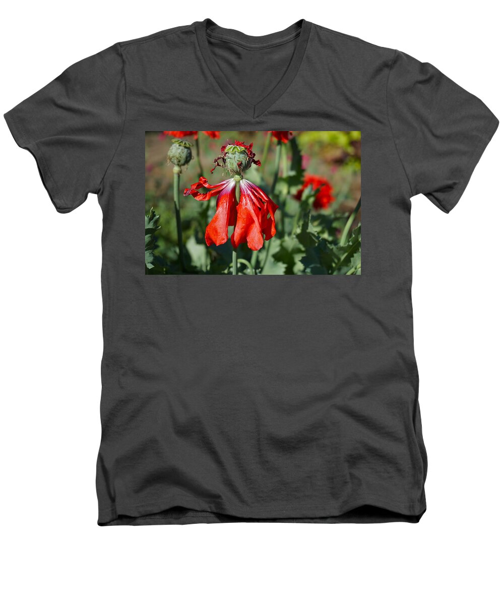 Floral Men's V-Neck T-Shirt featuring the photograph Dancing Gal by Sandra Lee Scott