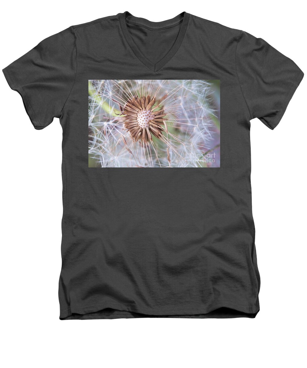 Nature Men's V-Neck T-Shirt featuring the photograph Dandelion Delicacy by Sharon McConnell
