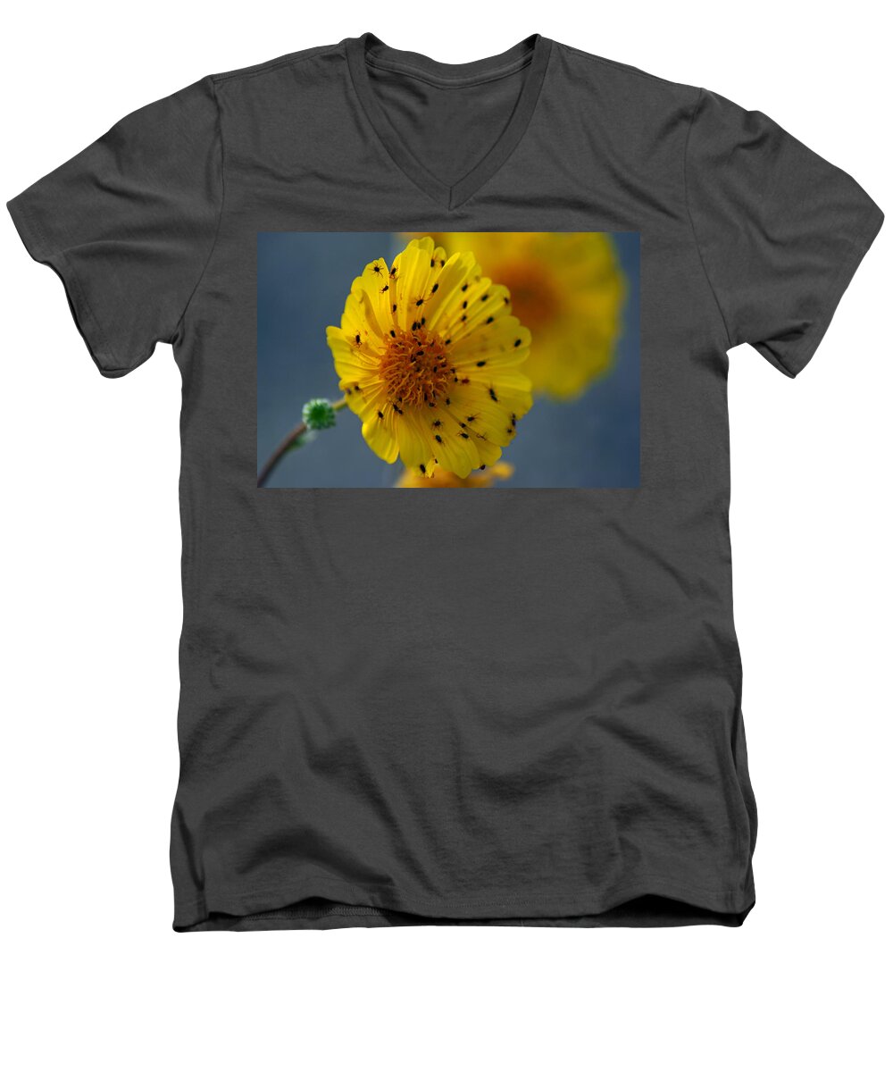 Superbloom 2016 Men's V-Neck T-Shirt featuring the photograph Death Valley Superbloom 102 by Daniel Woodrum