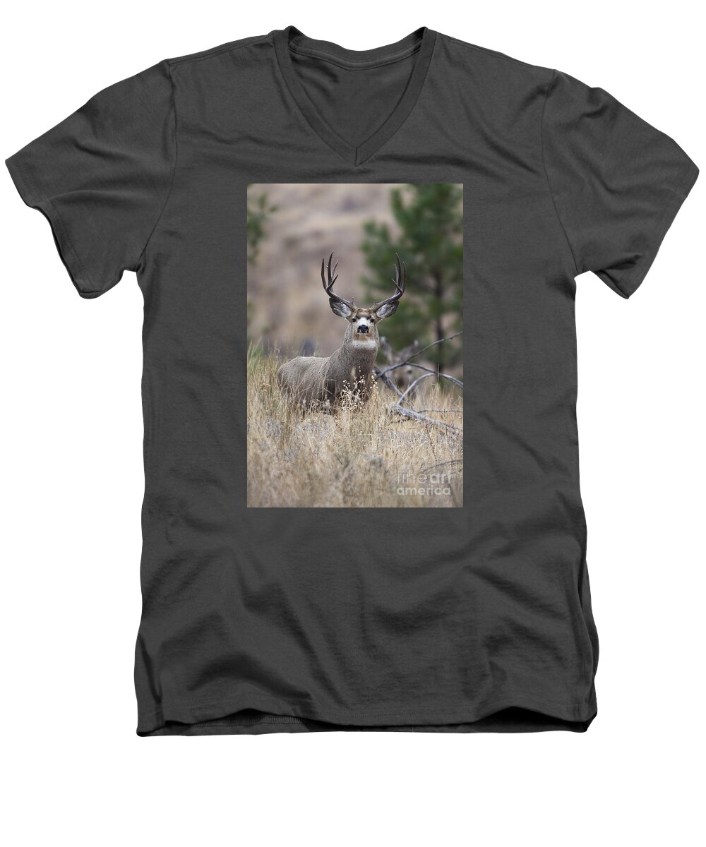 Buck Men's V-Neck T-Shirt featuring the photograph Deep Forest by Douglas Kikendall