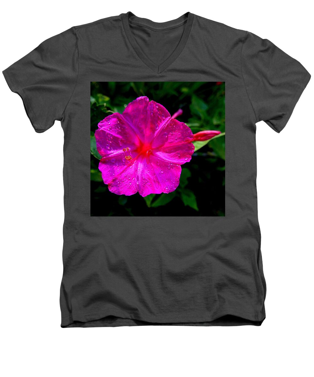 Four O'clock Men's V-Neck T-Shirt featuring the photograph Dew on Four O'clock Blossom by Nick Kloepping