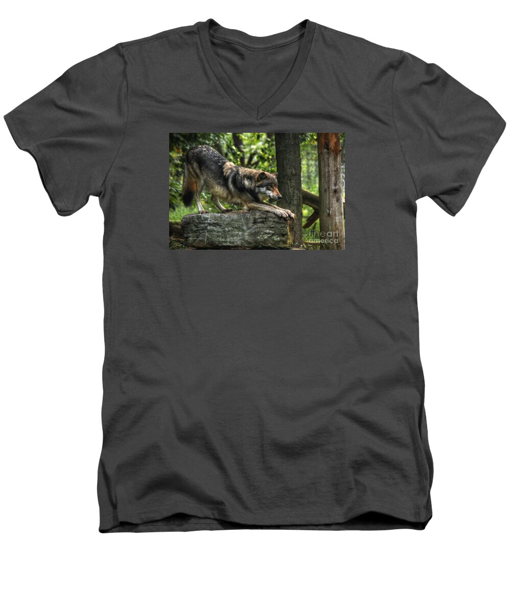 Downward Facing Wolf Men's V-Neck T-Shirt featuring the digital art Downward Facing Wolf by William Fields