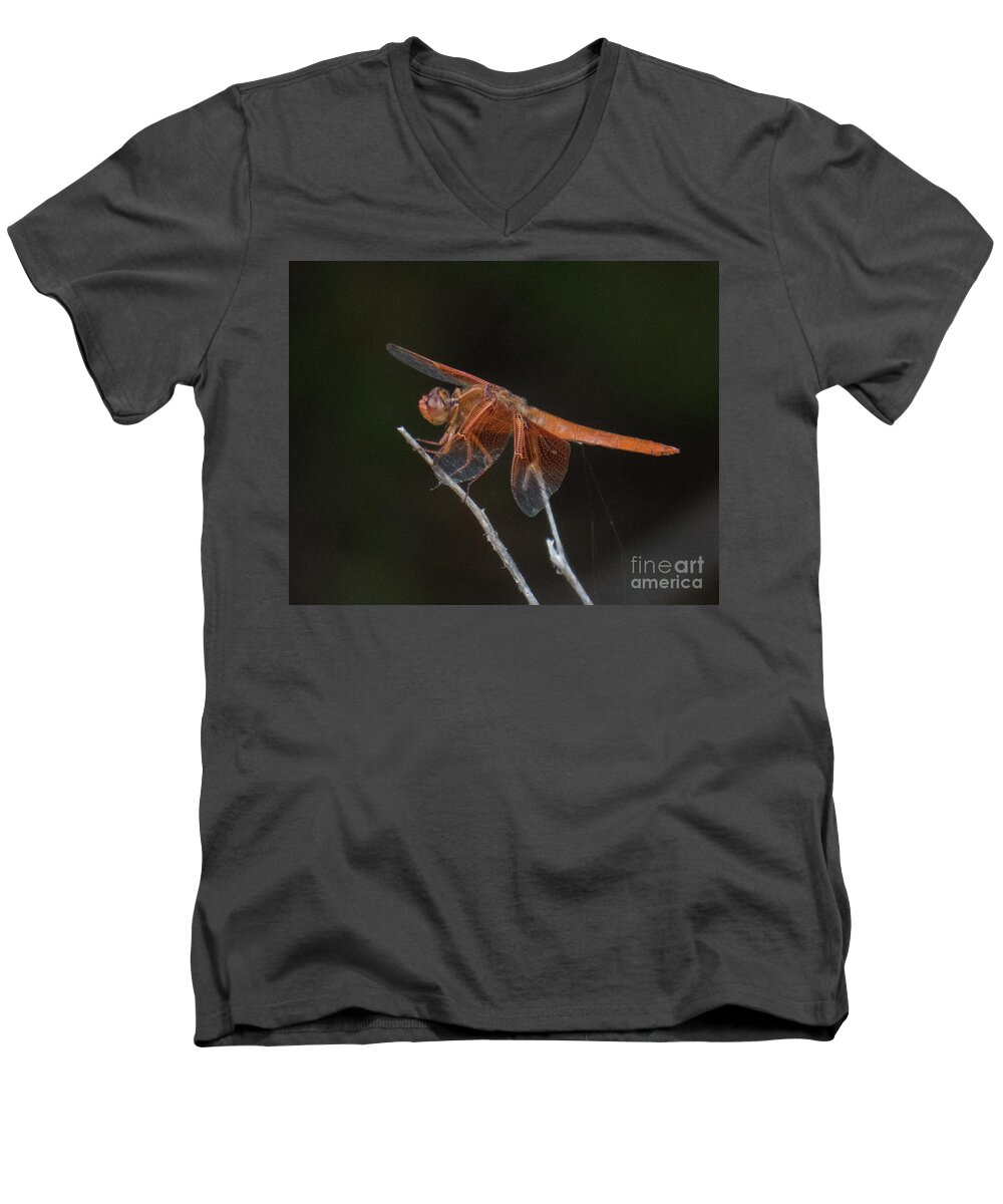 Dragonfly Men's V-Neck T-Shirt featuring the photograph Dragonfly 11 by Christy Garavetto