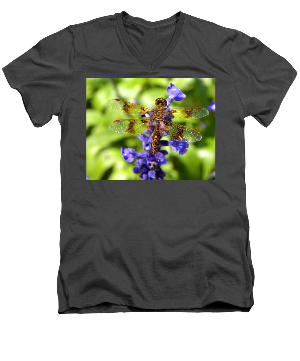 Dragonfly Men's V-Neck T-Shirt featuring the photograph Dragonfly by Sandi OReilly