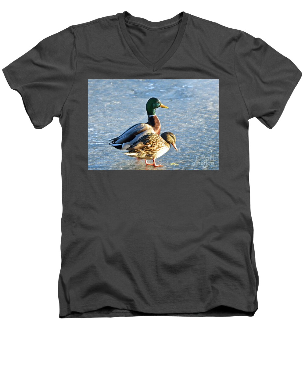 Duck Men's V-Neck T-Shirt featuring the photograph Duck Pair on Frozen Lake by Cindy Schneider