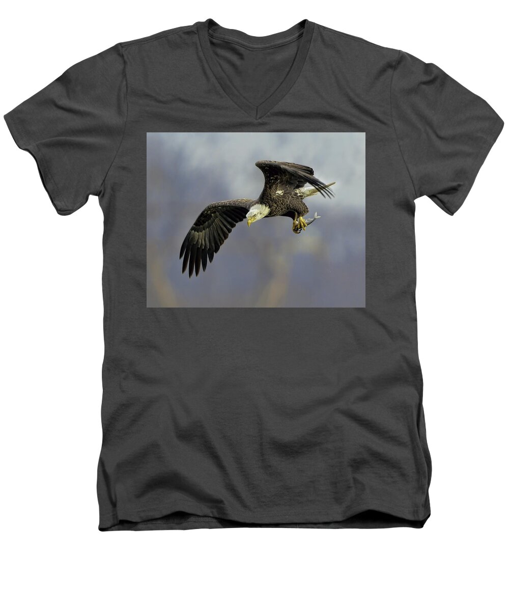 Eagle Men's V-Neck T-Shirt featuring the photograph Eagle Power Dive by William Jobes