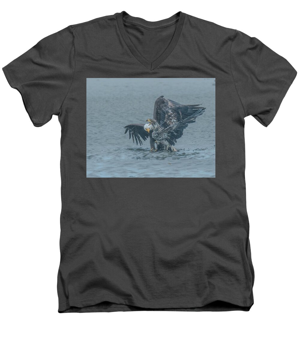 Eagles Men's V-Neck T-Shirt featuring the photograph Eagles of Juneau 1 by Patricia Dennis