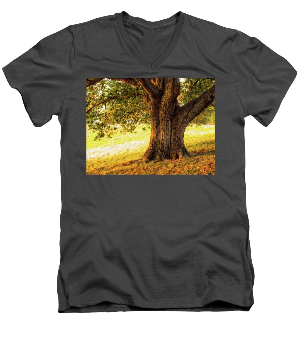 Early Autumn Oak Men's V-Neck T-Shirt featuring the photograph Early Autumn Oak by Marianne Campolongo