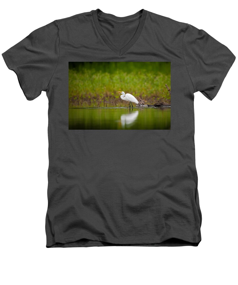 Nature Men's V-Neck T-Shirt featuring the photograph Egret Feeding by Jeff Phillippi