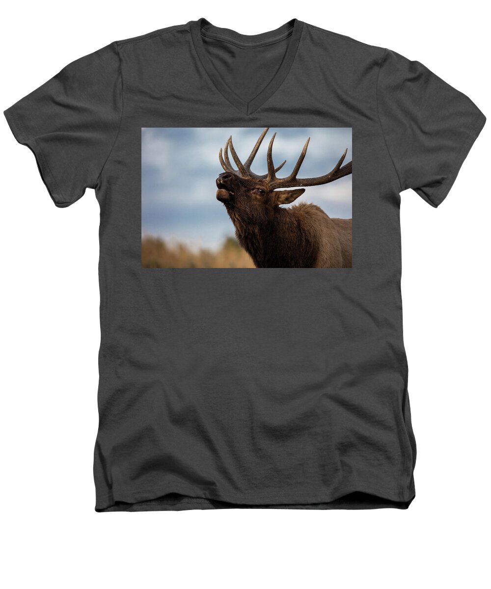 200-400mm 5dsr Men's V-Neck T-Shirt featuring the photograph ELK's SCREEM by Edgars Erglis