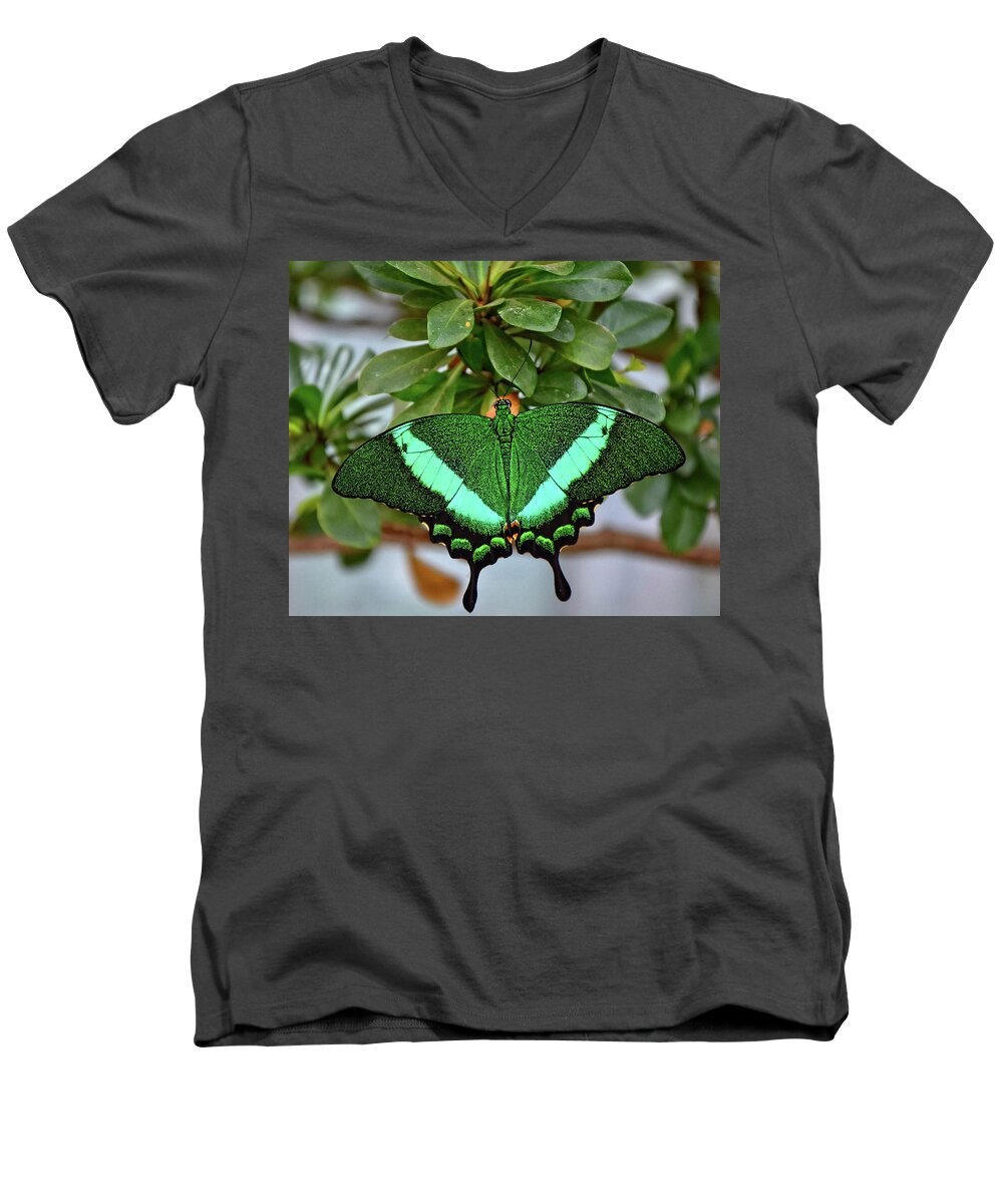 Emerald Swallowtail Butterfly Men's V-Neck T-Shirt featuring the photograph Emerald Swallowtail Butterfly by Ronda Ryan
