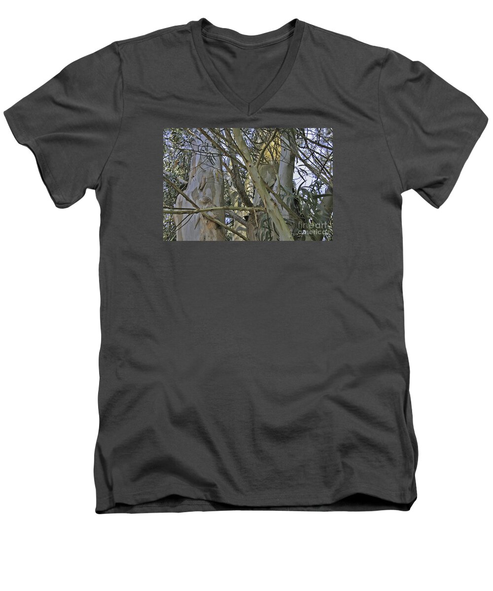 Trees Men's V-Neck T-Shirt featuring the photograph Eucalyptus Study by Joyce Creswell