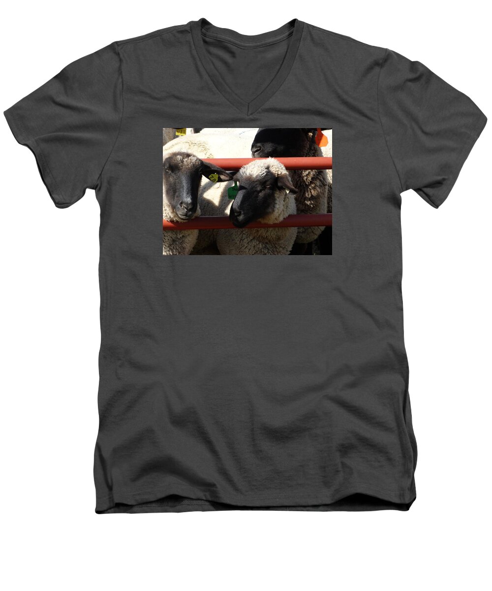 Sheep Men's V-Neck T-Shirt featuring the photograph Ewe Gate by J L Zarek