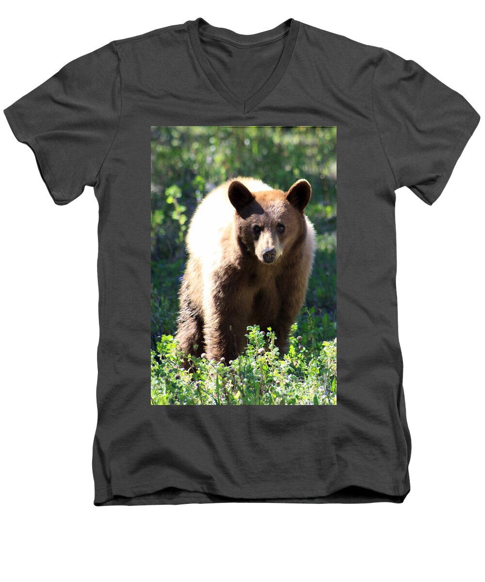 Alberta Men's V-Neck T-Shirt featuring the photograph Eye Contact by Alyce Taylor