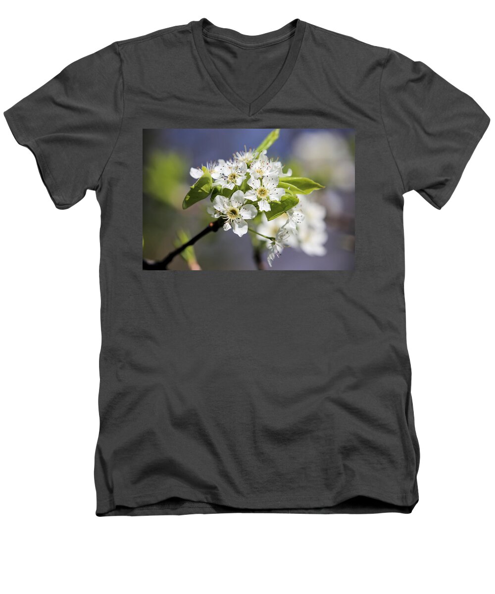 Hawthorn Men's V-Neck T-Shirt featuring the photograph Eye of the Beholder by Theresa Campbell