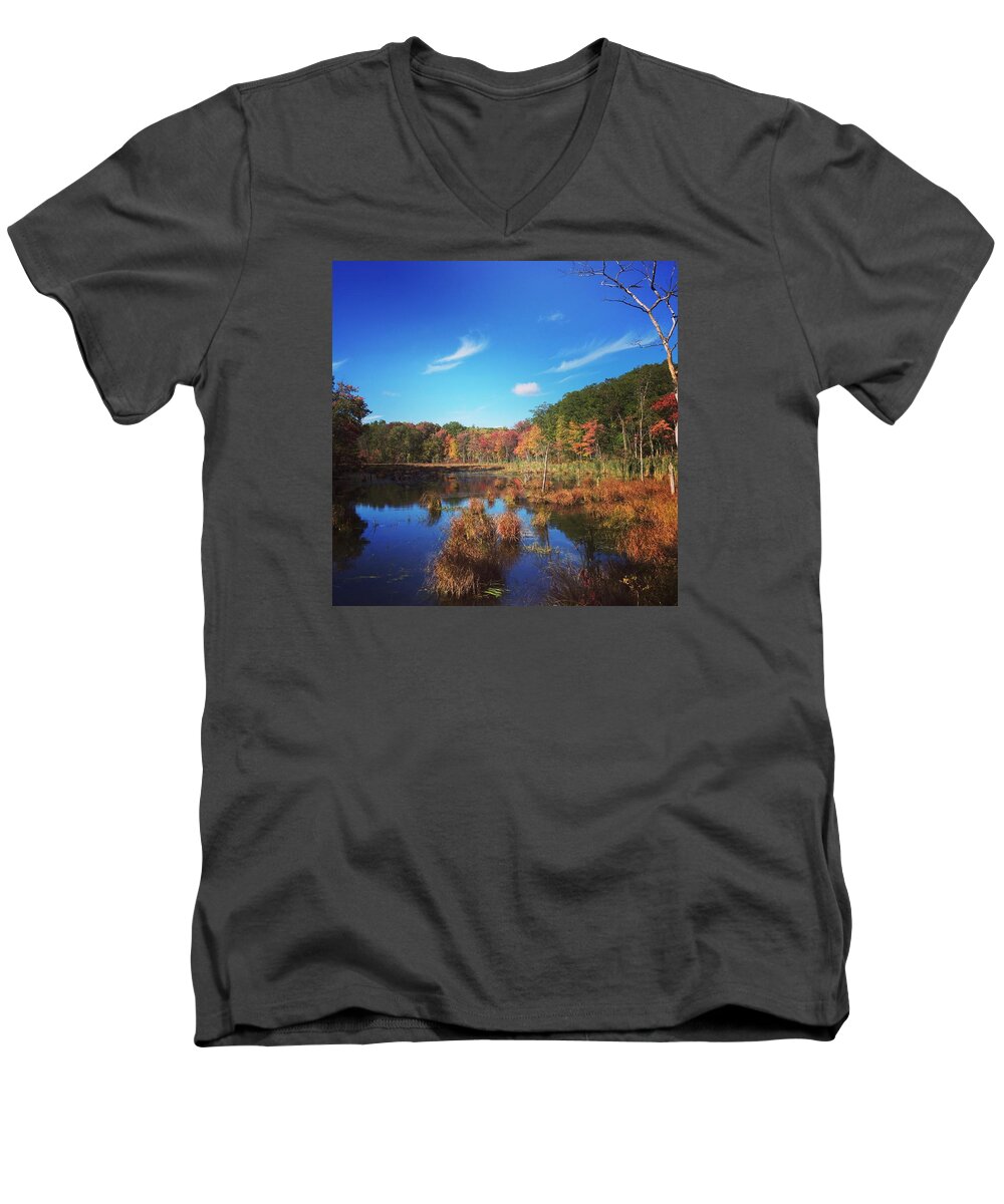 Fall Men's V-Neck T-Shirt featuring the drawing Fall at the Pond by Jason Nicholas