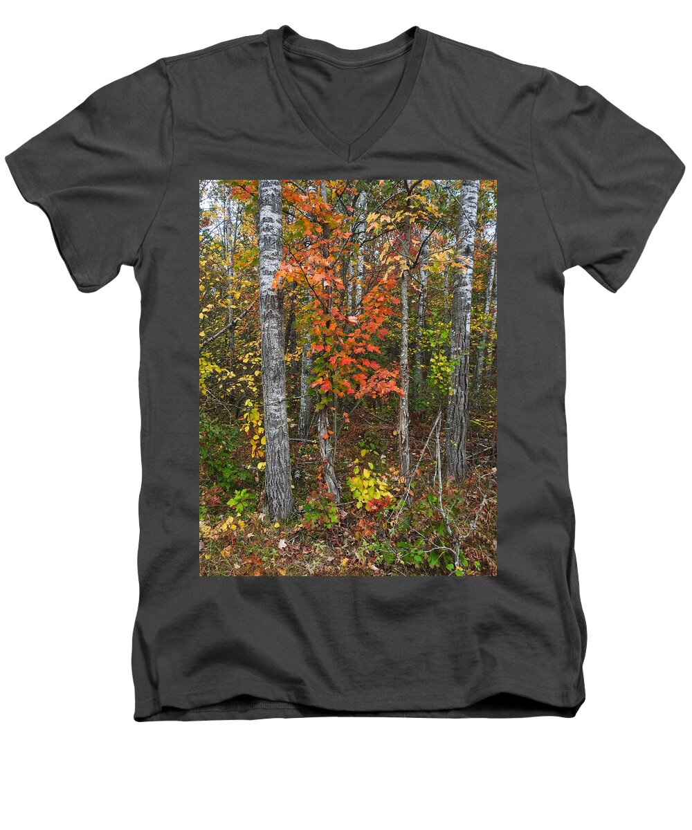 Fall Men's V-Neck T-Shirt featuring the photograph Fall Color at Gladwin 4543 by Wesley Elsberry