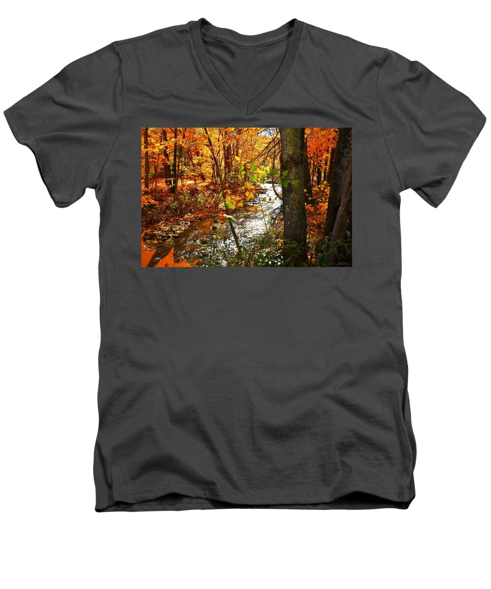  Men's V-Neck T-Shirt featuring the photograph Fall in the Mountains by Chuck Brown