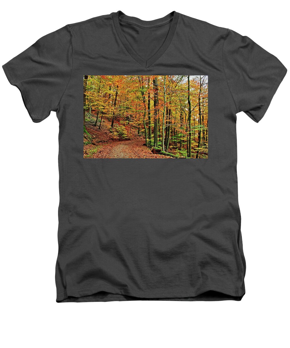 Germany Men's V-Neck T-Shirt featuring the photograph Fall in the Taunus by Daniel Koglin