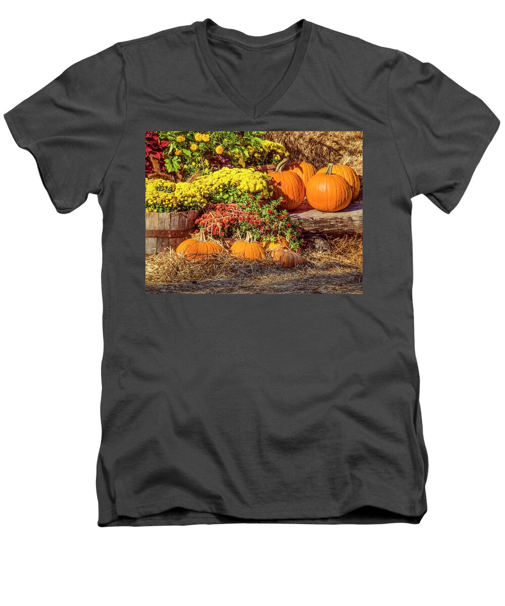 Pumpkins Men's V-Neck T-Shirt featuring the photograph Fall Pumpkins by Carolyn Marshall