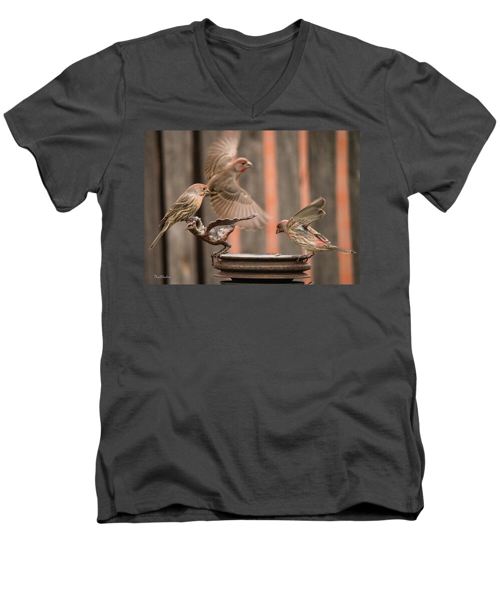 Male House Finches Men's V-Neck T-Shirt featuring the photograph Feeding Finches by Tim Kathka