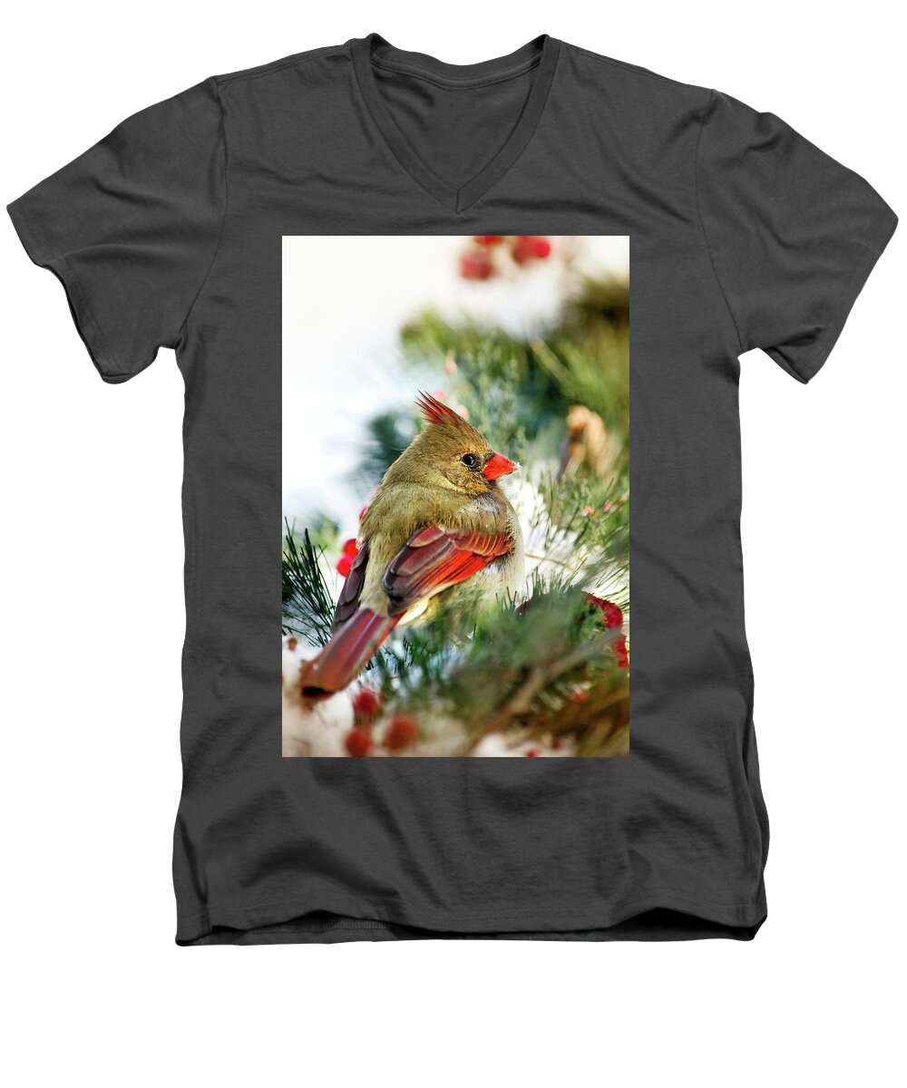 Cardinal Men's V-Neck T-Shirt featuring the photograph Female Northern Cardinal by Christina Rollo