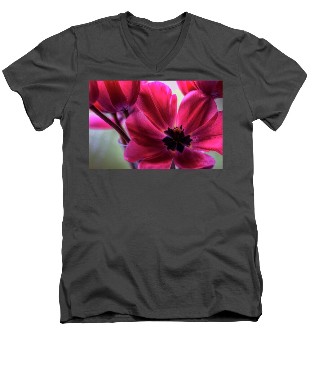 Hdr Men's V-Neck T-Shirt featuring the photograph First to Wake by Brad Granger