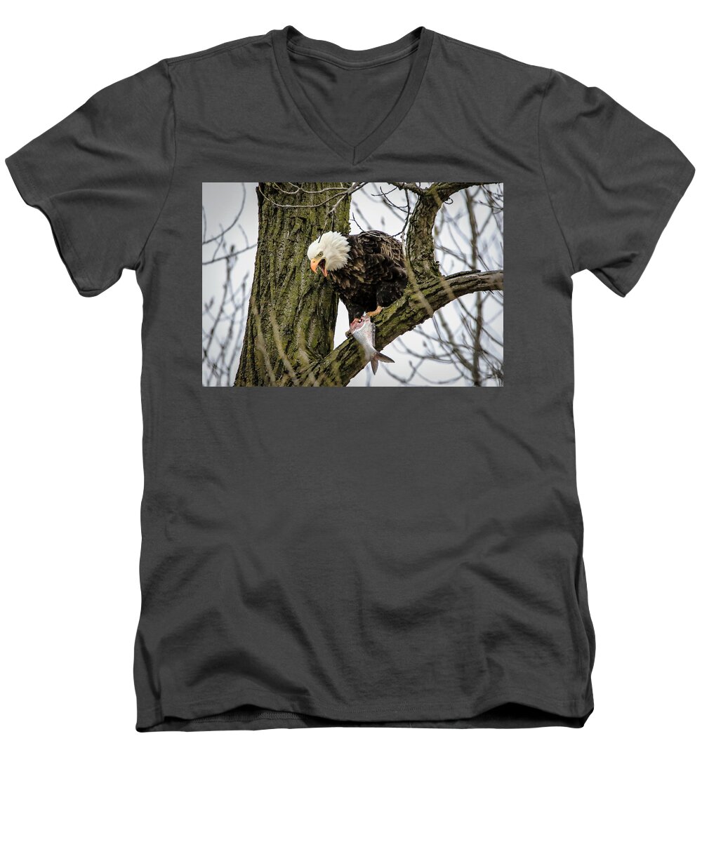 Bald Eagle Men's V-Neck T-Shirt featuring the photograph Fish For Dinner by Ray Congrove