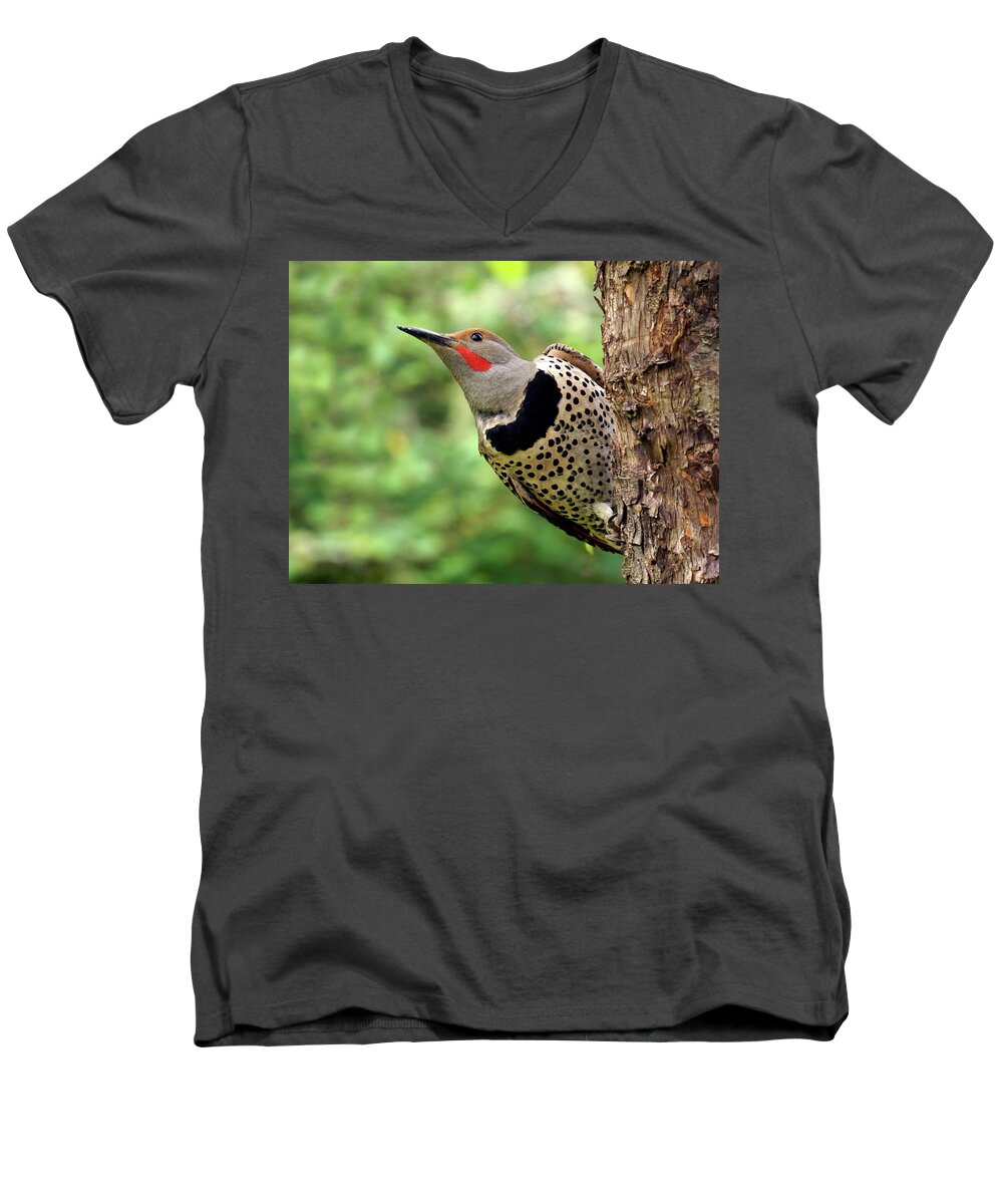 Northern Flicker Men's V-Neck T-Shirt featuring the photograph Flicker by Inge Riis McDonald