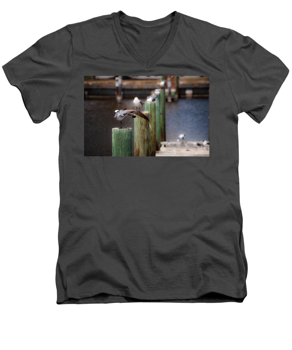 Florida Men's V-Neck T-Shirt featuring the photograph Florida Seagull Playing by Jason Moynihan