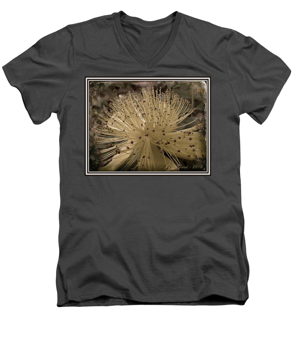 Flower Men's V-Neck T-Shirt featuring the photograph Adventure in Grey by Farol Tomson