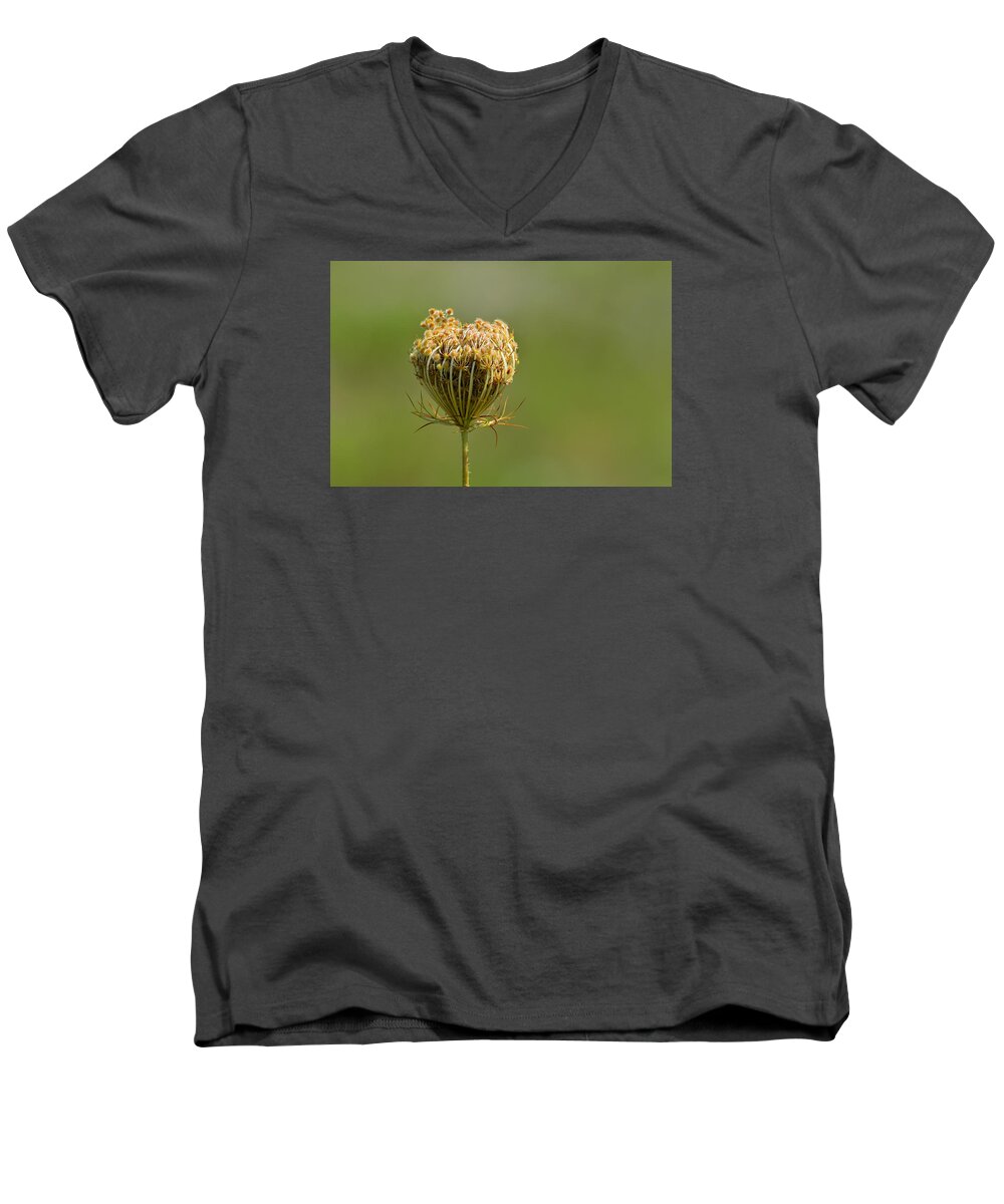 Abstract Men's V-Neck T-Shirt featuring the photograph Flower Turning Into A Seed Pod Dispenser 2 by Lyle Crump