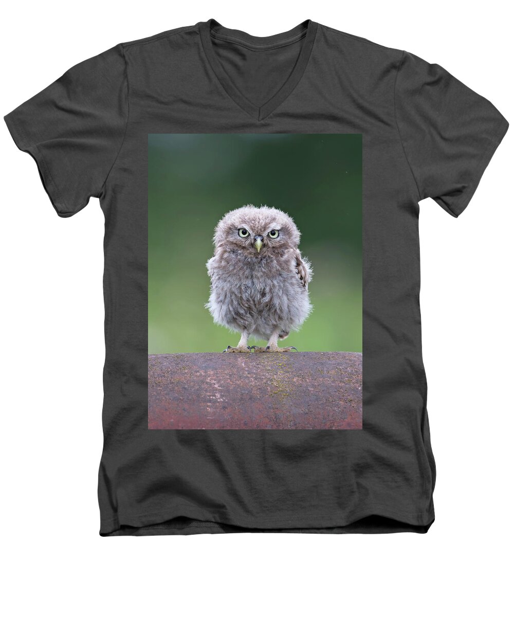 Little Men's V-Neck T-Shirt featuring the photograph Fluffy Little Owl Owlet by Pete Walkden