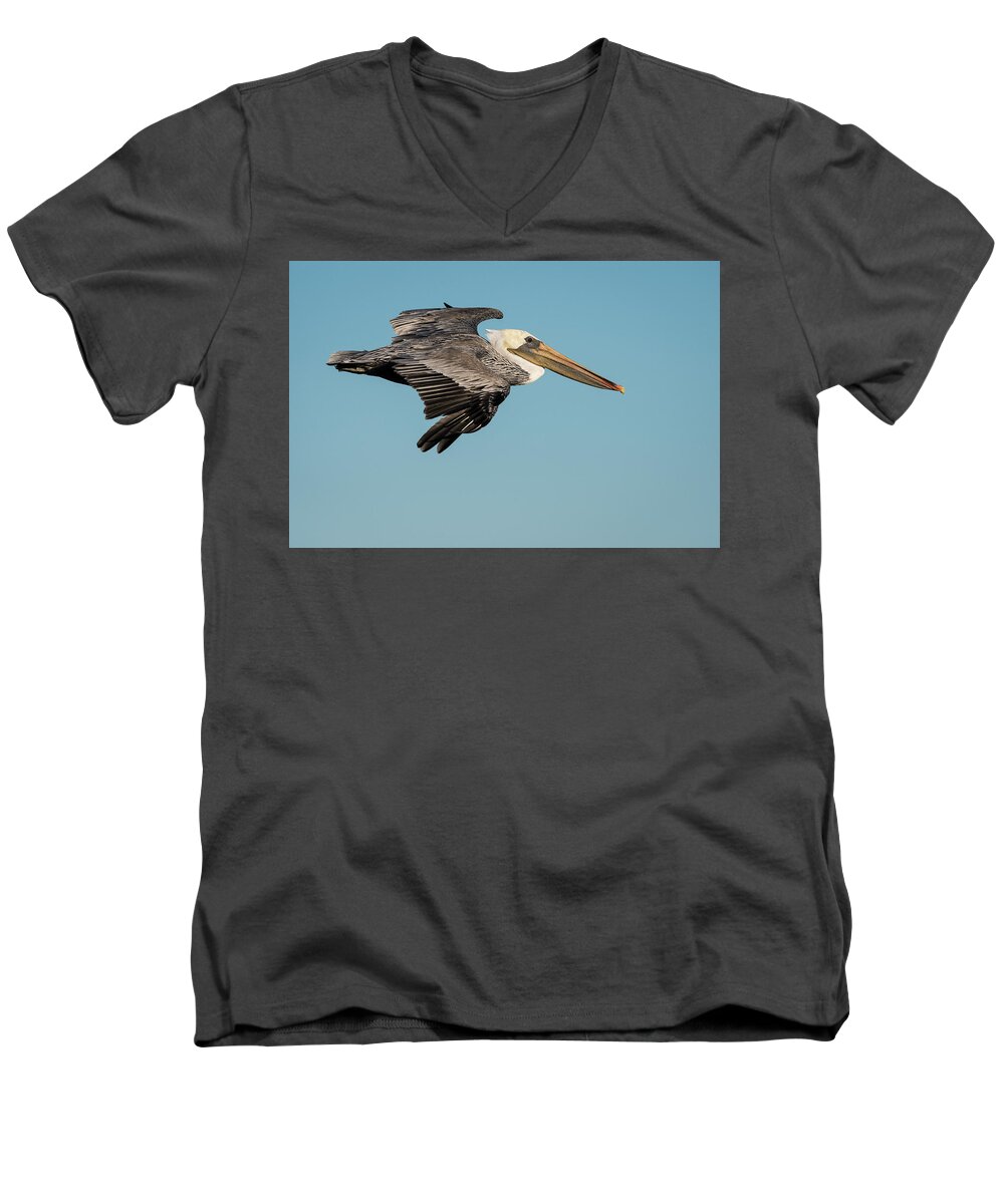 Animals Men's V-Neck T-Shirt featuring the photograph Fly By by Robert Potts