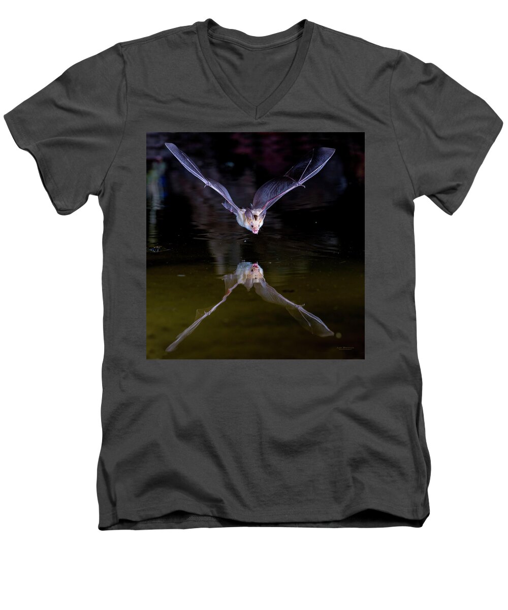 Bat Men's V-Neck T-Shirt featuring the photograph Flying Bat with Reflection by Judi Dressler