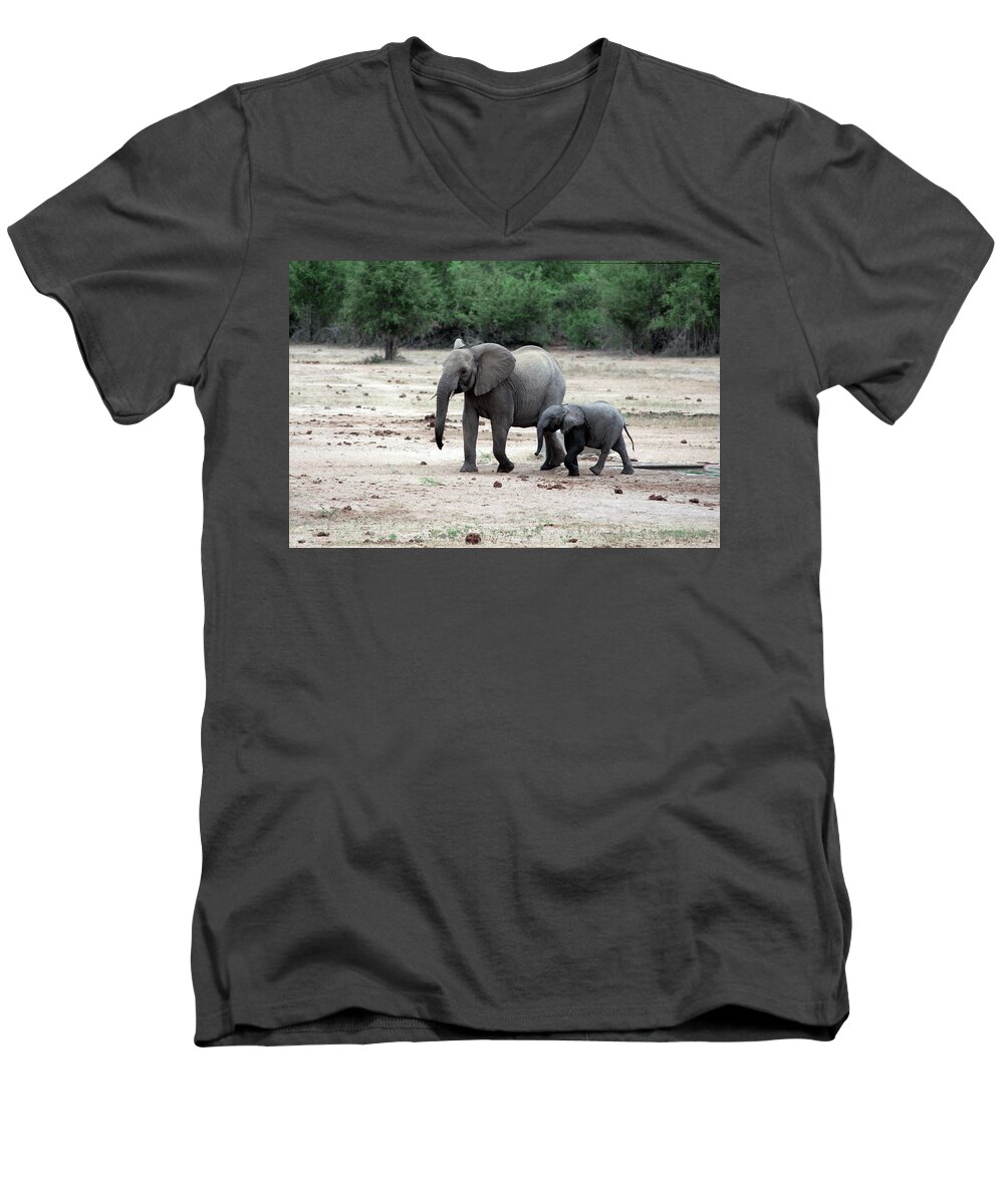 Elephant Men's V-Neck T-Shirt featuring the photograph Follow Me by Samantha Delory