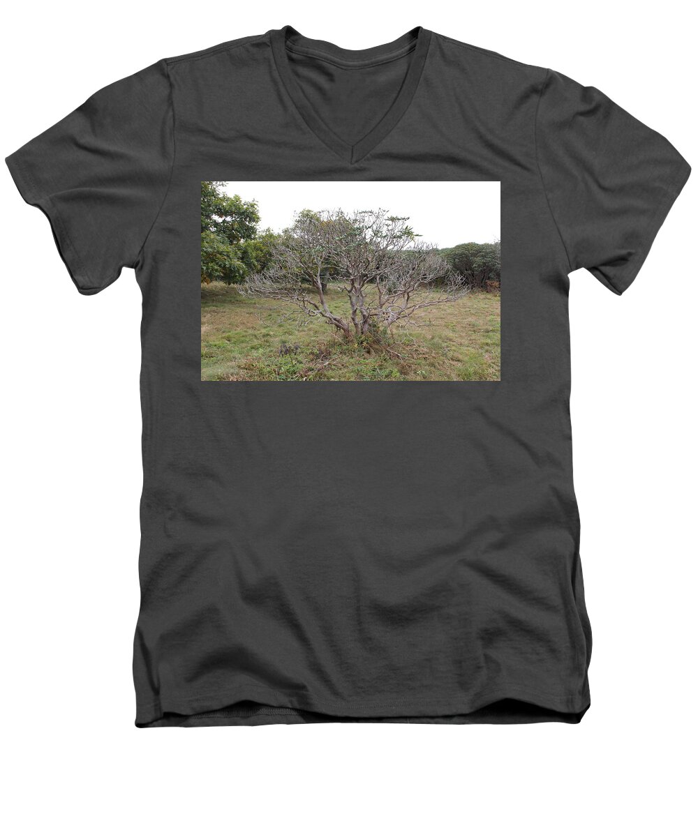 Tree Men's V-Neck T-Shirt featuring the photograph Forest Character Tree by Allen Nice-Webb
