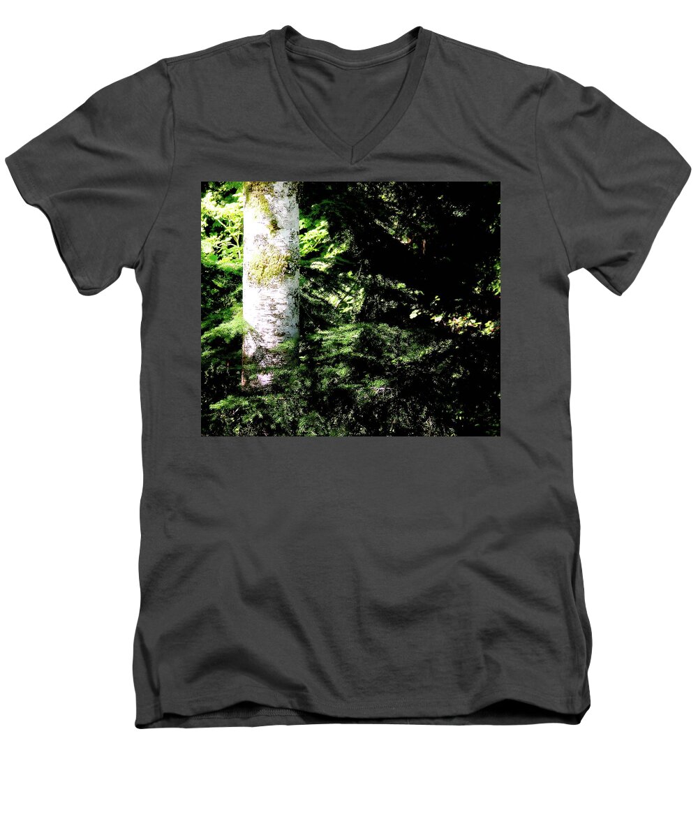 Forest Men's V-Neck T-Shirt featuring the photograph Forest Glow by Blair Wainman