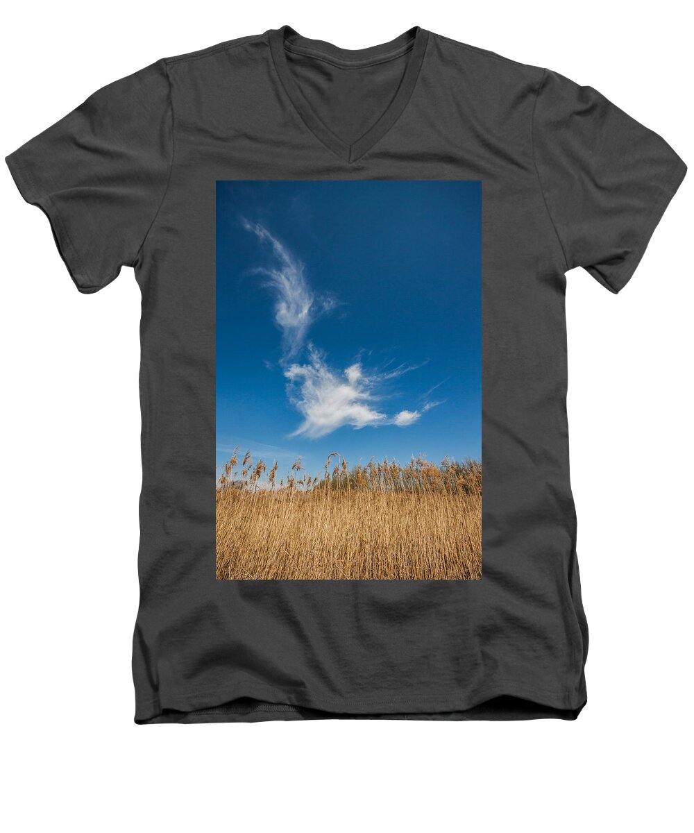 Spring Men's V-Neck T-Shirt featuring the photograph Freedom by Davorin Mance