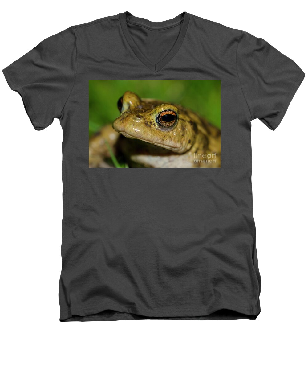 Frog Men's V-Neck T-Shirt featuring the photograph Frog posing by Steev Stamford