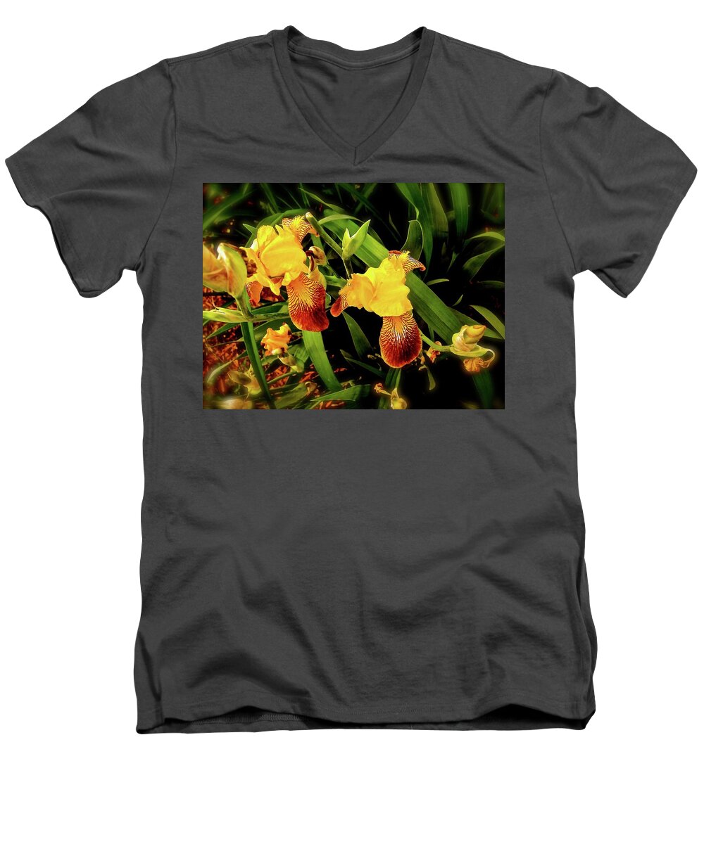 Irises Men's V-Neck T-Shirt featuring the photograph Gabriella's Garden by Elizabeth Tillar