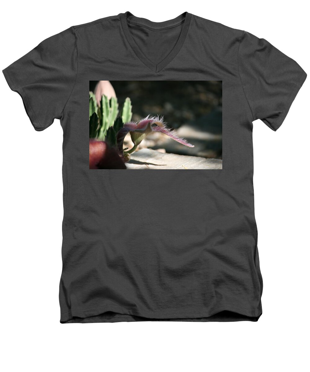 Flower Men's V-Neck T-Shirt featuring the photograph Giant Starfish Stapelia gigantea by Grant Washburn