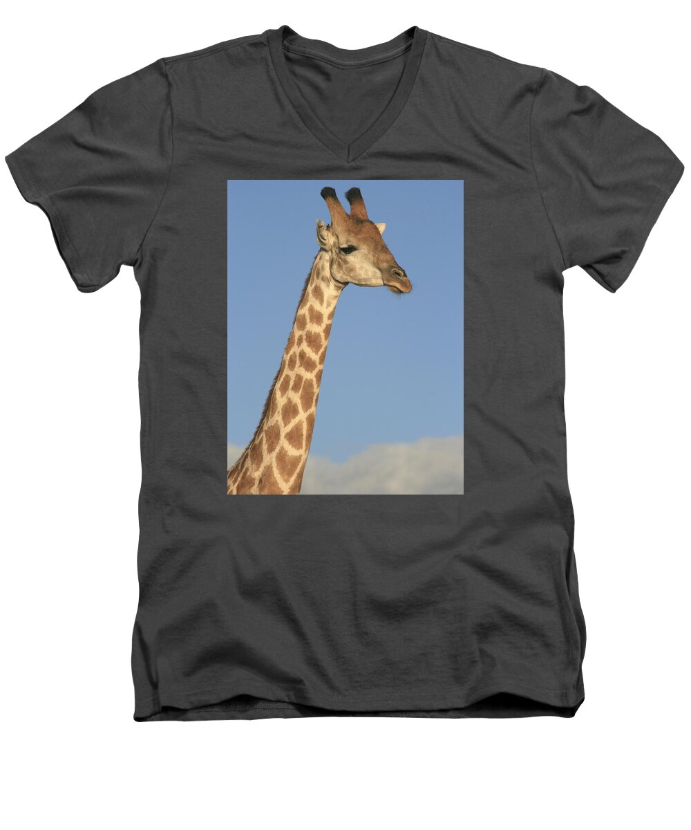 Karen Zuk Rosenblatt Art And Photography Men's V-Neck T-Shirt featuring the photograph Giraffe Portrait by Karen Zuk Rosenblatt