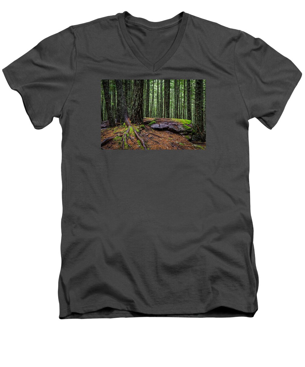 Art Men's V-Neck T-Shirt featuring the photograph Glacier Green by Gary Migues