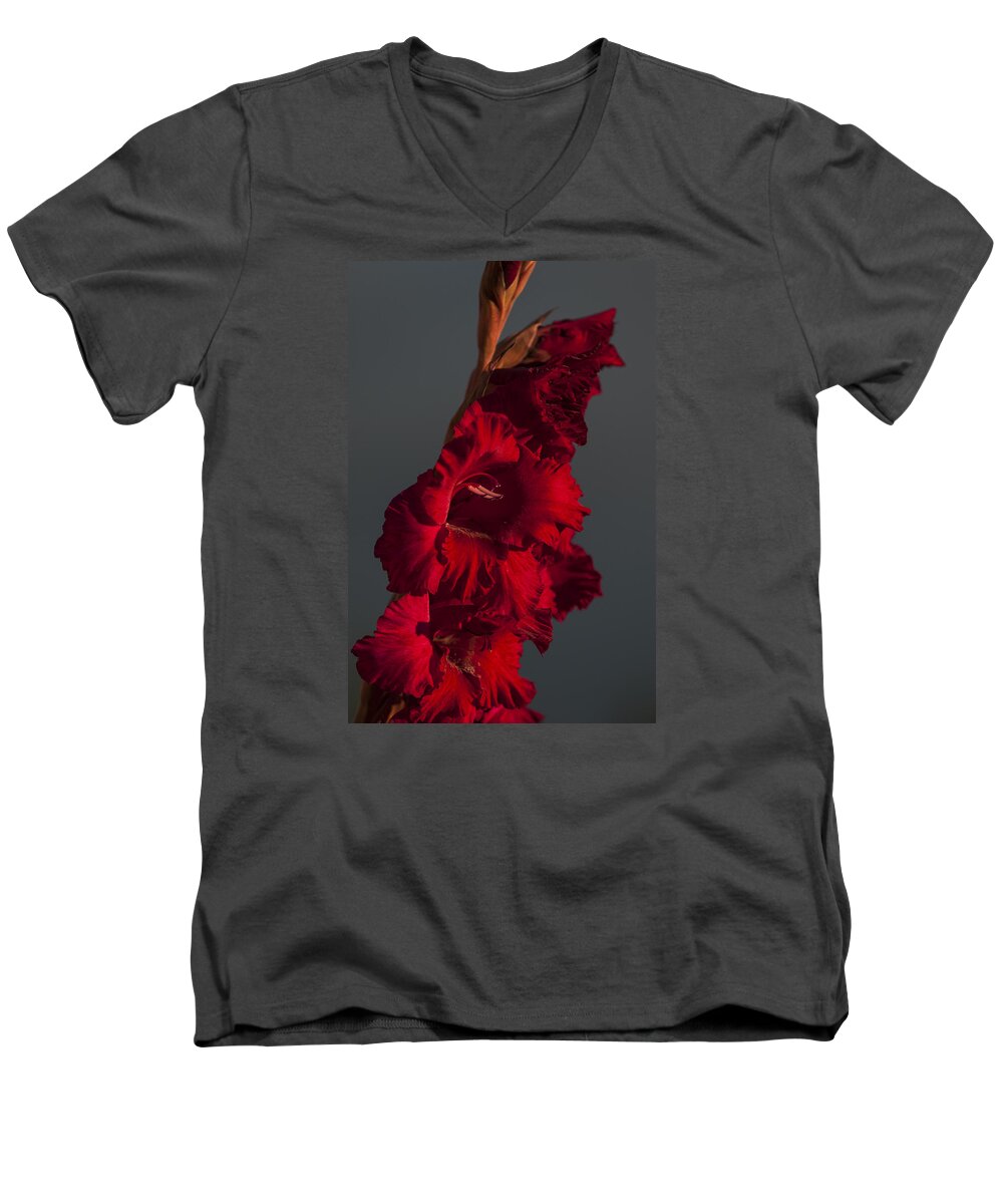 Flower Men's V-Neck T-Shirt featuring the photograph Gladiolus Against a Dark Cloud by Robert Potts