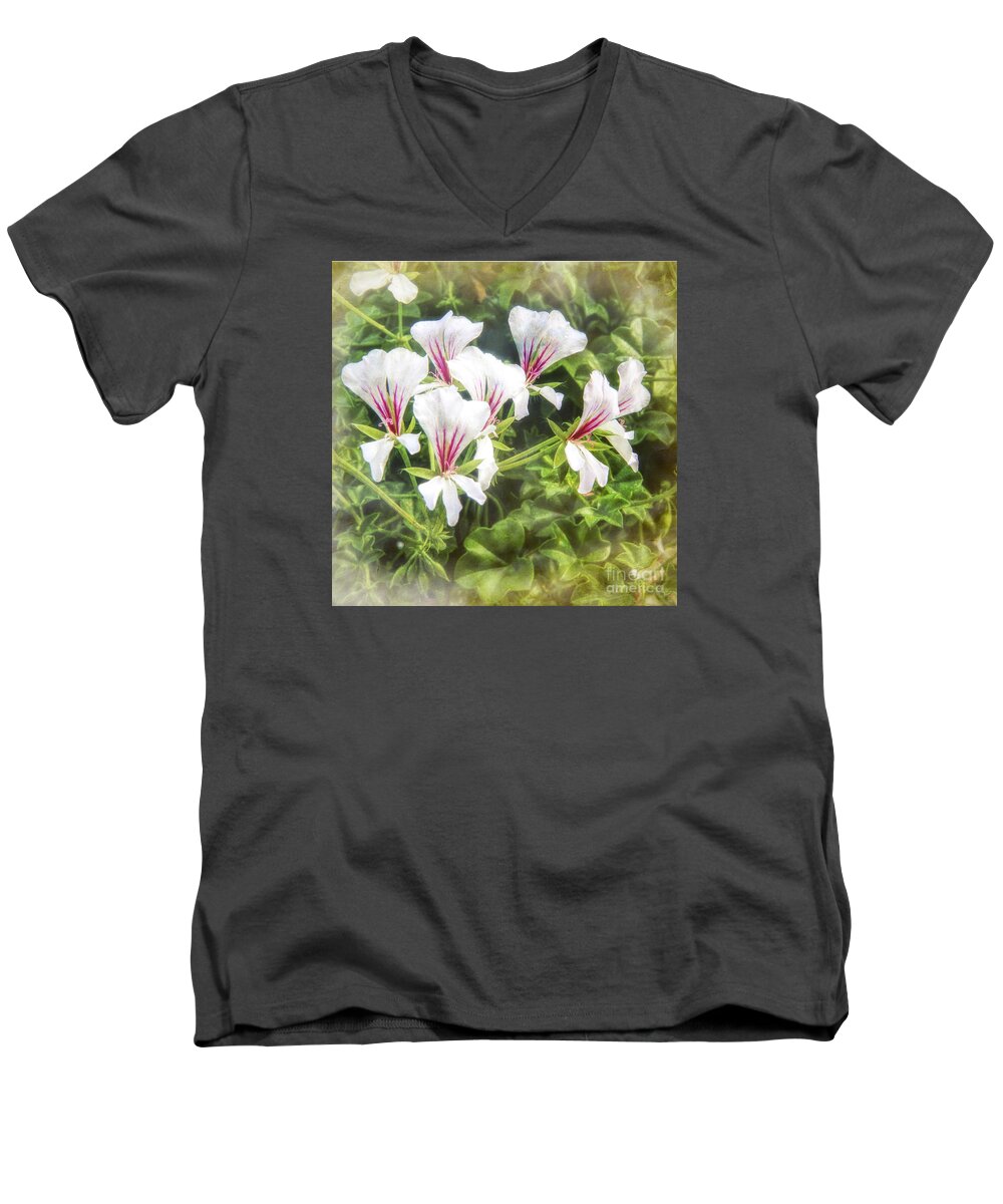 Gladiolus Acidanthera Men's V-Neck T-Shirt featuring the photograph Gladiolus Callianthus by Barry Weiss