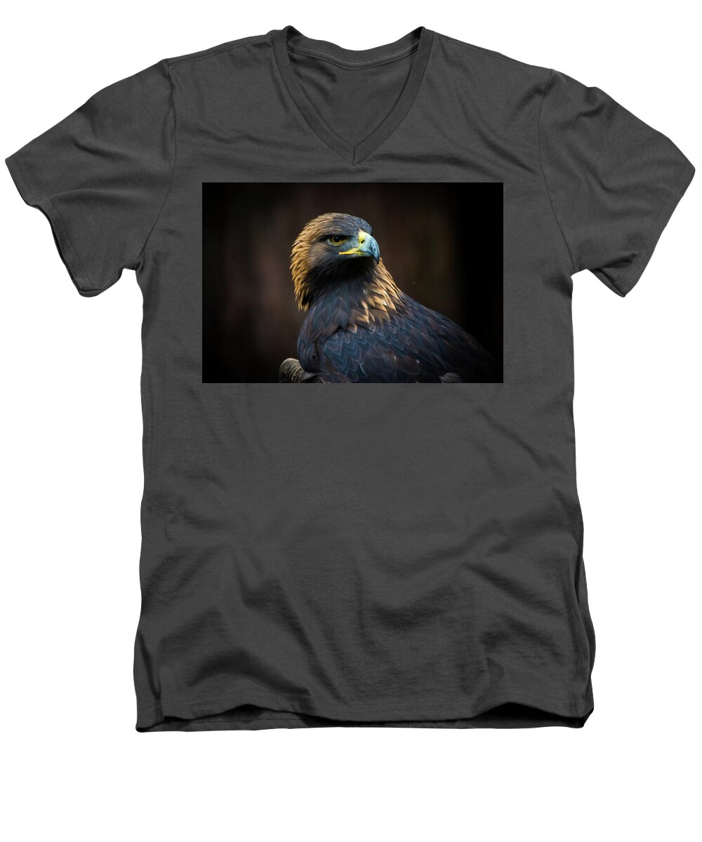 Eagle Men's V-Neck T-Shirt featuring the photograph Golden Eagle 3 by Jason Brooks